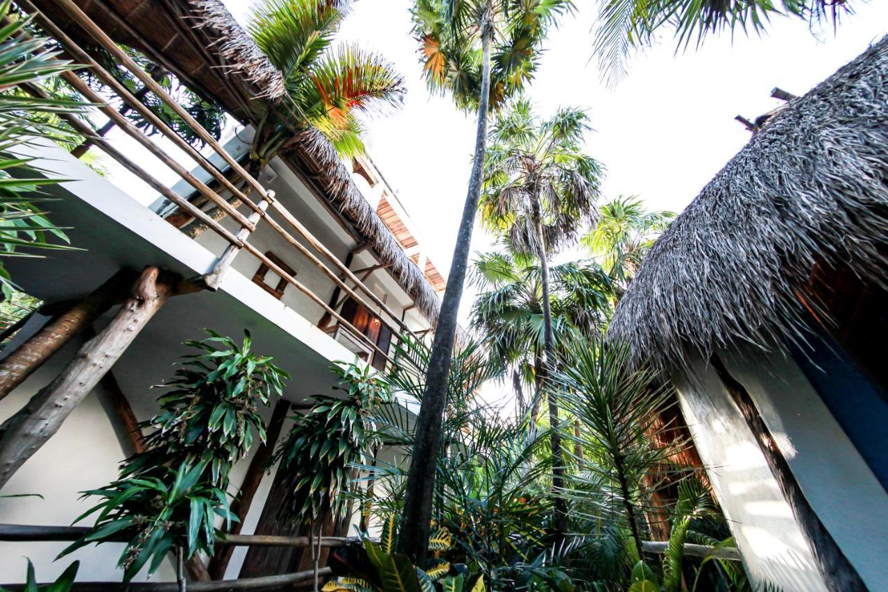 Hotel Cormoran Tulum & Cenote المظهر الخارجي الصورة